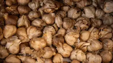 What is black garlic? How heat and humidity turn a pungent ingredient mild and slightly sweet