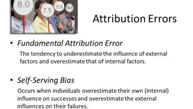 group attribution error explained