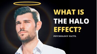 halo effect explained