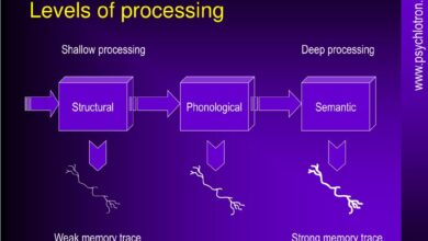 levels-of-processing effect explained