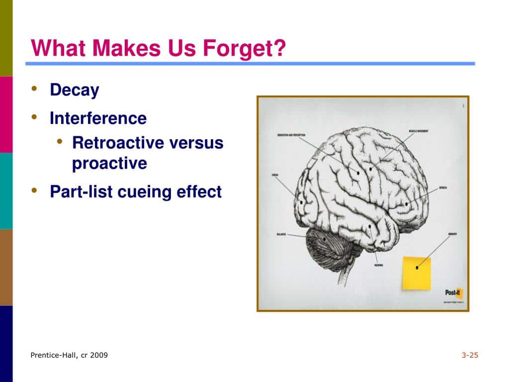 part-list cueing effect explained