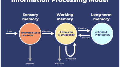 processing difficulty effect memory learning