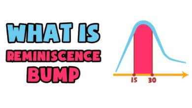 reminiscence bump memory psychology