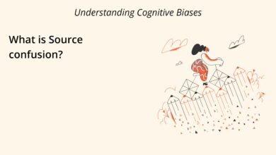 source confusion explained