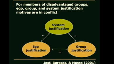 system justification explained