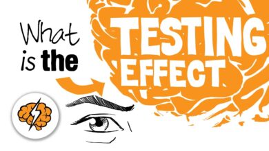 testing effect explained