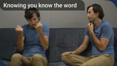 tip-of-the-tongue phenomenon explained