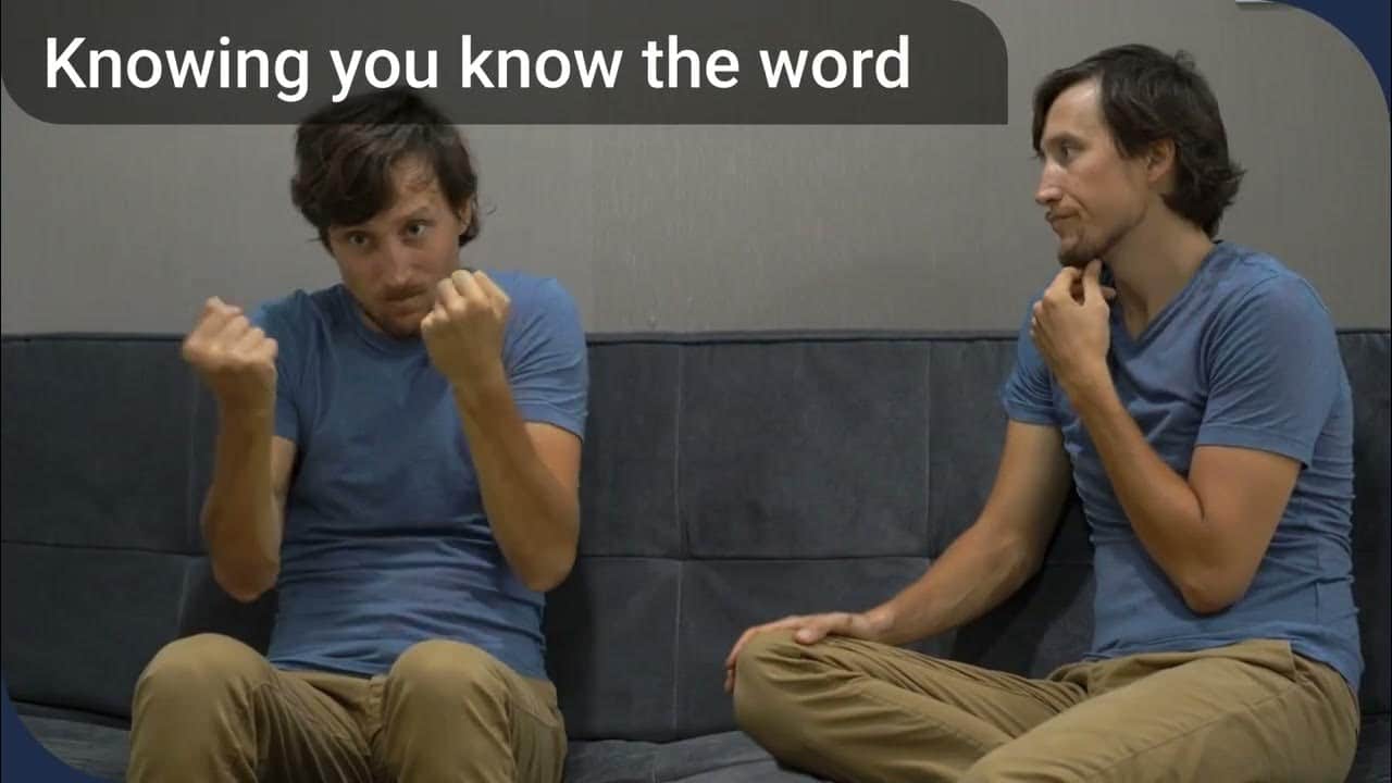 tip-of-the-tongue phenomenon explained