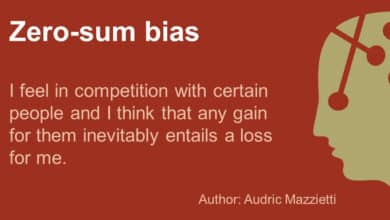 zero-sum bias explained