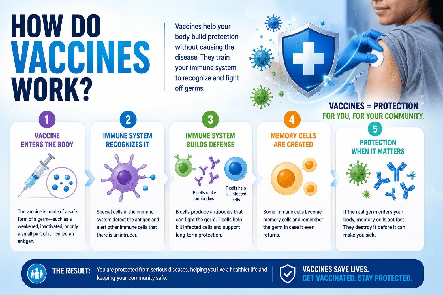 How Do Vaccines Work?