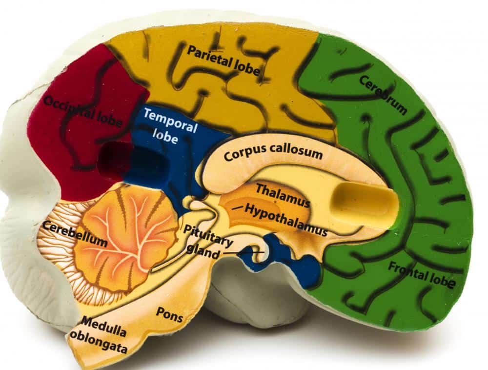 Corticobasal Syndrome