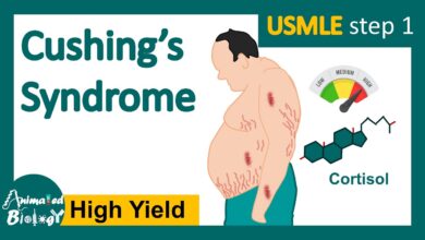 Cushing's Disease vs Cushing's Syndrome