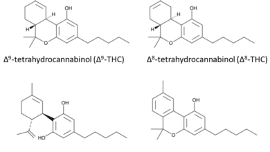 Delta‑8, delta‑9, THCA? What sets the different THC forms available in regulated cannabis products apart
