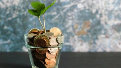 George Soros Macro Investing