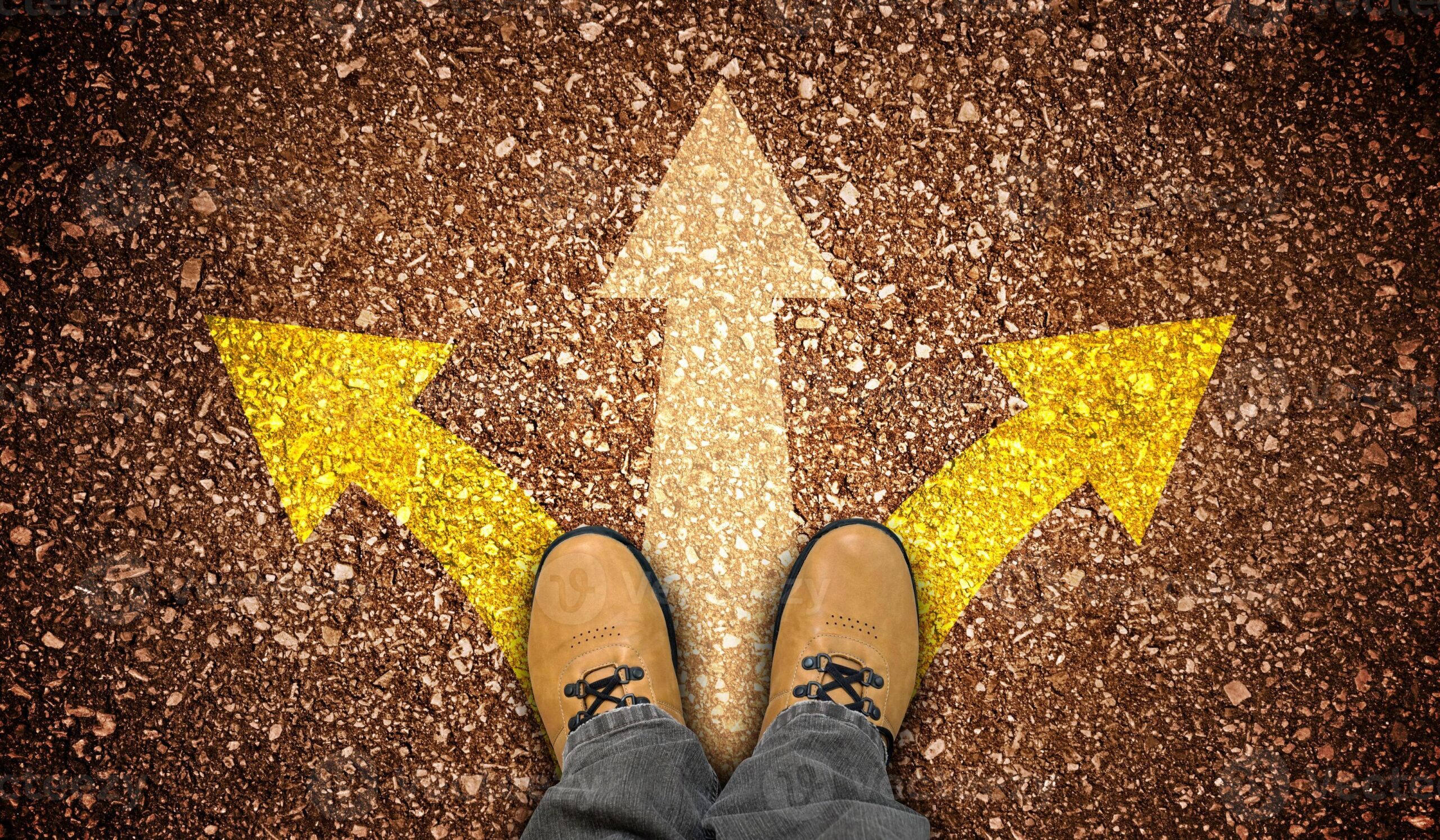 How does your brain decide between the road not taken or the same old route?