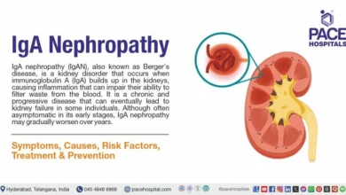 IgA Nephropathy (Berger's Disease)
