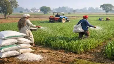 Middle East Conflict: Exploring Opportunities for India to Strengthen Supply Chains in Energy, Fertilizers, and Defence