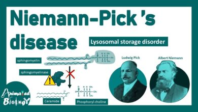 Niemann-Pick Disease