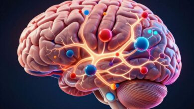 Restless Legs Syndrome: More Than an Annoyance — What's Happening Neurologically