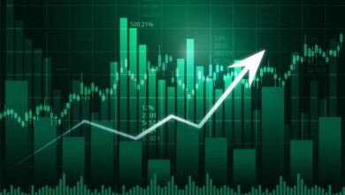 Stock Market Update: Nifty50 Surpasses 24,100 as BSE Sensex Gains Over 500 Points in Early Trading