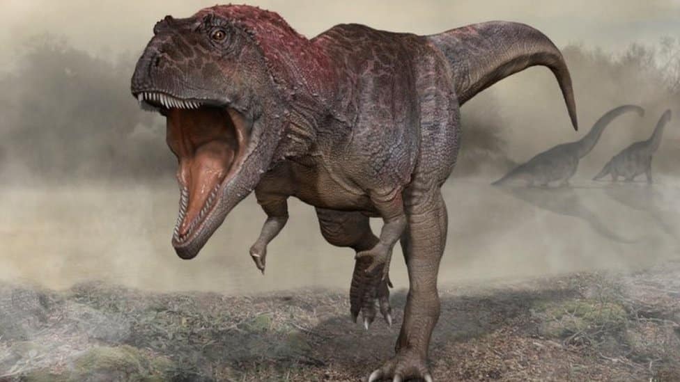 Why did Tyrannosaurus rex have such short arms?
