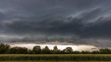 Your local storm forecast is likely based on weather miles away – mesonets can help bridge that gap