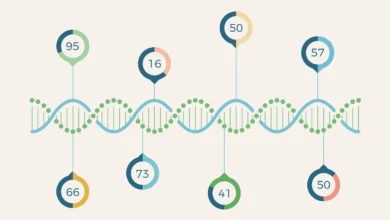 Biological age tests reveal what slows or hastens aging – but they’re useful only for researchers, not consumers