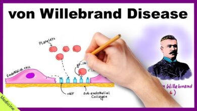 von Willebrand Disease