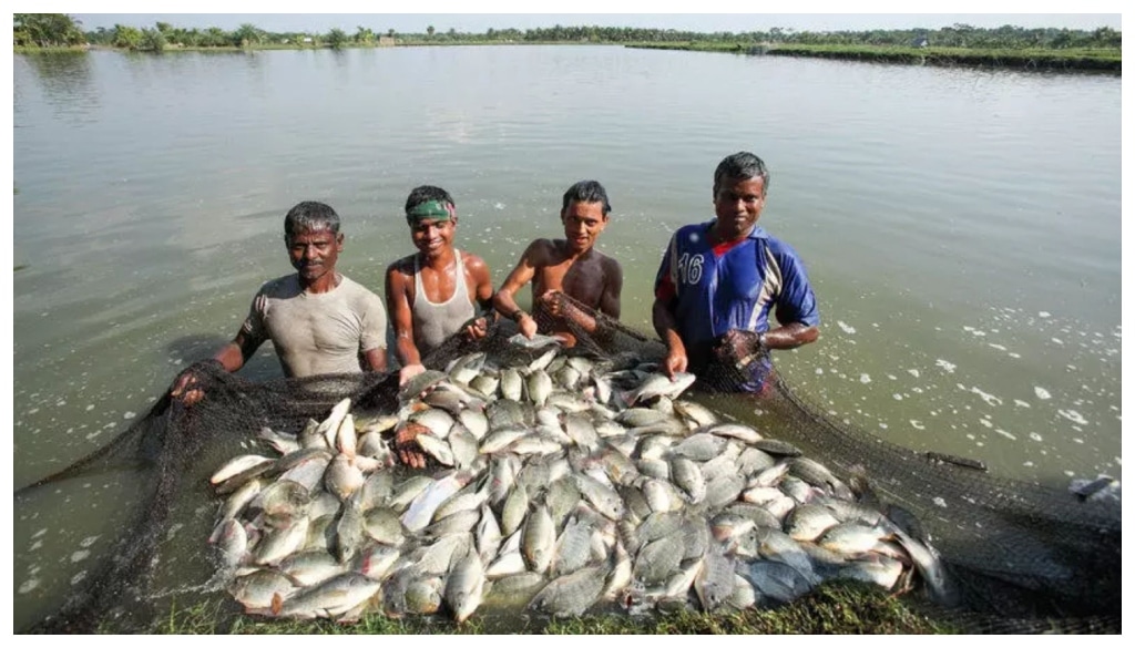 Bihar Set for Boost in Fisheries with New Aqua Park and Centre