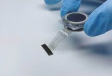 China Launches World's First Commercial Brain Chip, Surpassing Elon Musk's 'Jesus-Level Technology'