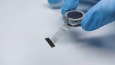 China Launches World's First Commercial Brain Chip, Surpassing Elon Musk's 'Jesus-Level Technology'