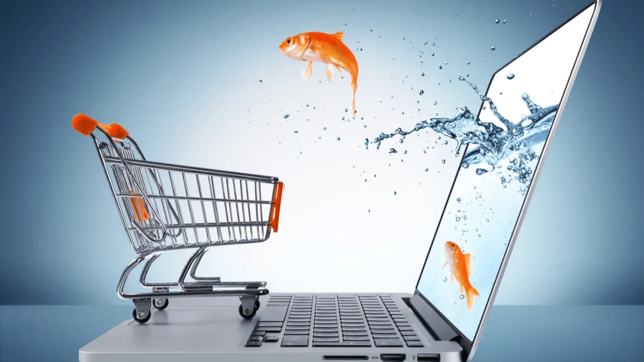 Companies Express Enthusiasm for Quick Commerce Growth