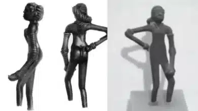 'Dancing Girl' Image Reinstated in Indian Textbook Following Public Outcry