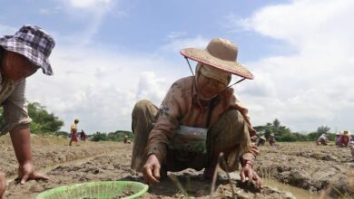 El Nino Concerns: The Potential Impact of a Weak Monsoon on India Compared to the US-Iran Conflict