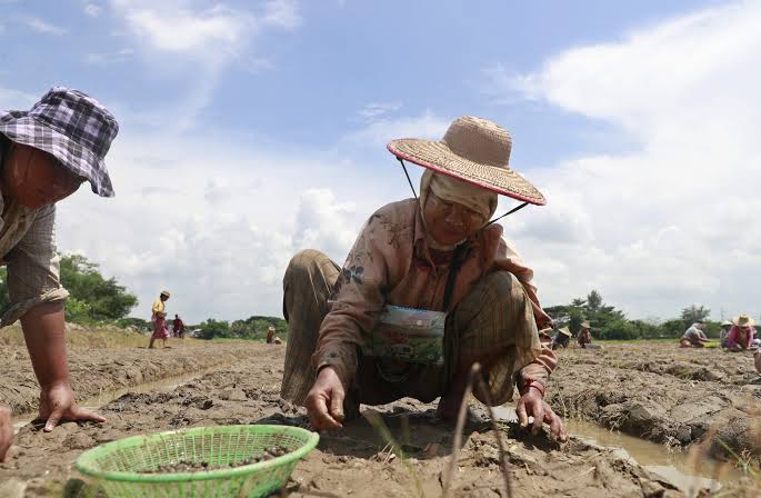 El Nino Concerns: The Potential Impact of a Weak Monsoon on India Compared to the US-Iran Conflict