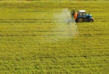 Fertiliser Ministry Aims to Double FY27 Subsidy Allocation to Rs 1.71 Lakh Crore