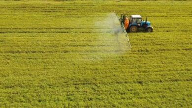 Fertiliser Ministry Aims to Double FY27 Subsidy Allocation to Rs 1.71 Lakh Crore