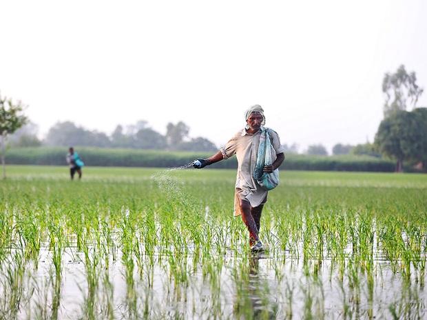 Government Announces Upcoming Production of Two New Urea Plants to Reduce Import Dependence in Fertiliser Sector