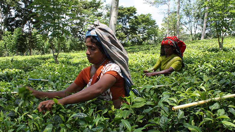 Government Unveils Major Initiative for Rural Development