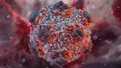Hantavirus