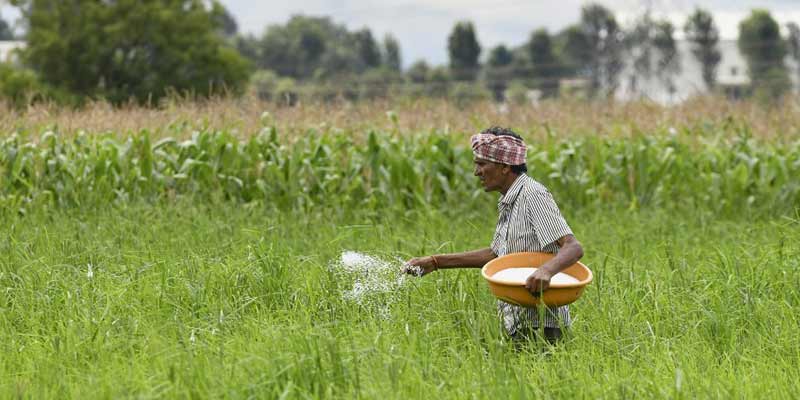India Bolsters Fertilizer Security with Key Shipments