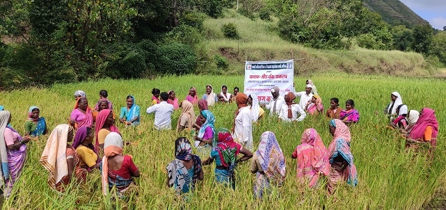 India Revamps Agrobiodiversity Committee to Boost Agricultural Conservation