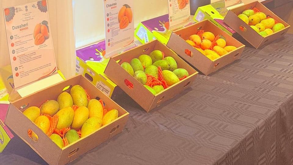 India Showcases Delicious Mangoes at First Icelandic Promotion Events