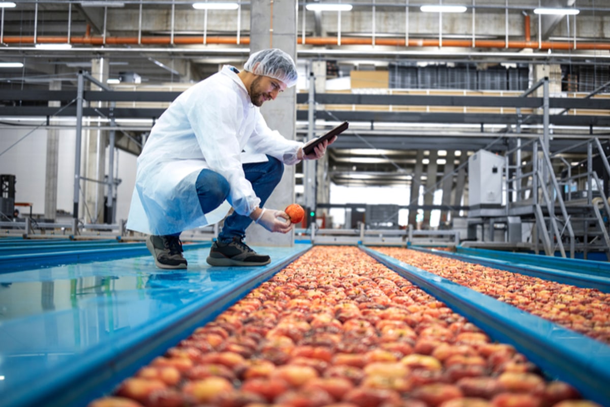 India Streamlines Food Business Regulations for Efficiency