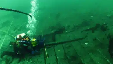 India and Denmark Collaborate on Historic Shipwreck Discovery