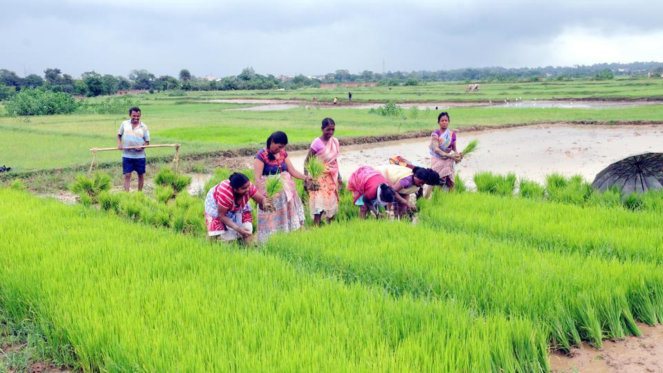 Kisan Sarathi: A Game-Changer for Indian Farmers
