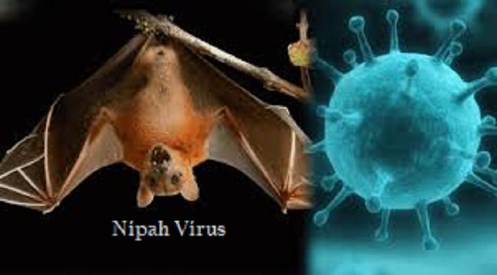 Nipah Virus