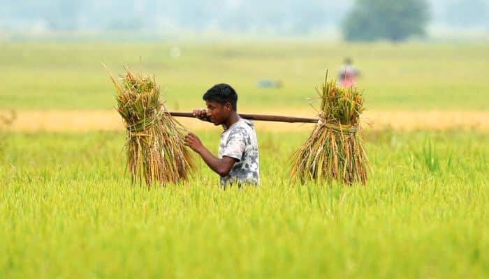 PM-Kisan to Disburse 23rd Instalment on June 20: Rs 18,880 Crore Allocated for 9.44 Crore Farmers