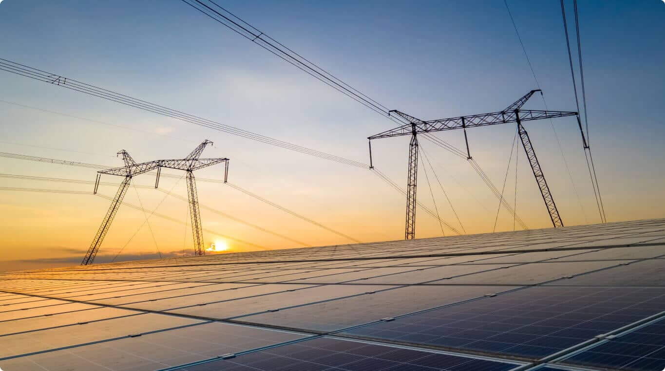 Parliamentary Panel Explores Grid Stability and Large-Scale Renewable Energy Integration