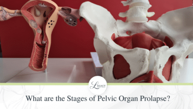 Pelvic Organ Prolapse